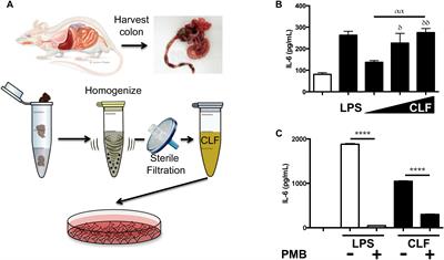 Elevated Gut Microbiome-Derived Propionate Levels Are Associated With Reduced Sterile Lung Inflammation and Bacterial Immunity in Mice